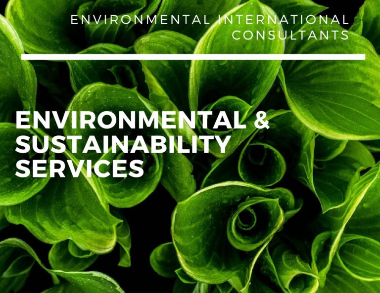 About Us - Environmental International Consultants